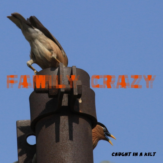 Couverture de Family Crazy