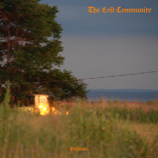 Couverture de The Lost Community