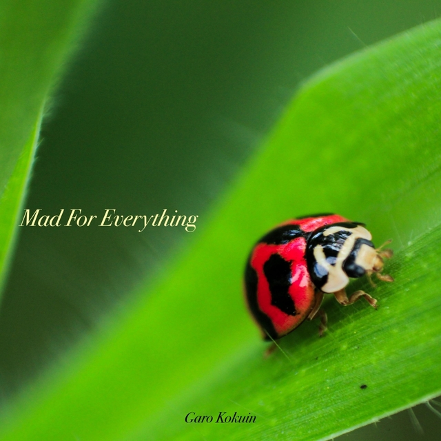 Couverture de Mad For Everything
