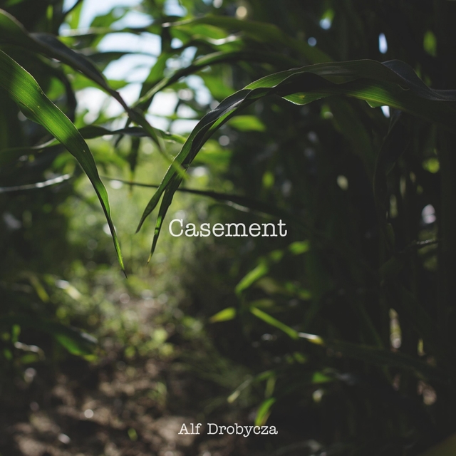 Couverture de Casement