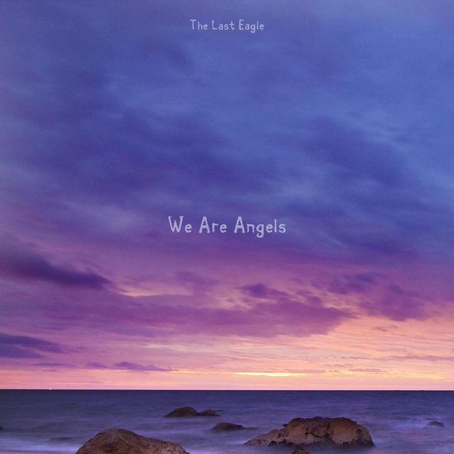 Couverture de We Are Angels