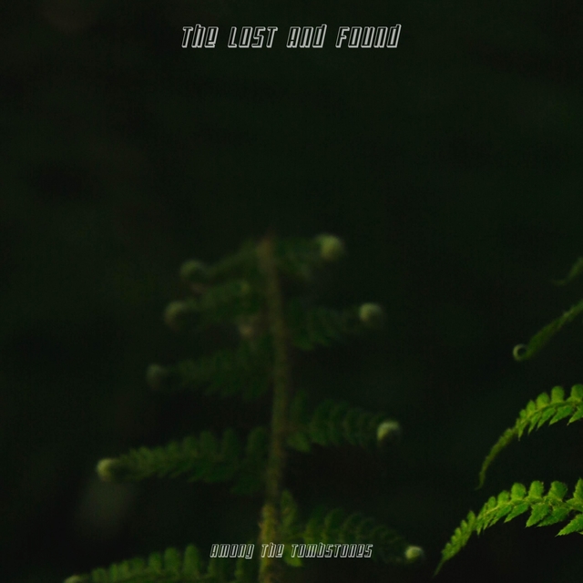 Couverture de The Lost And Found