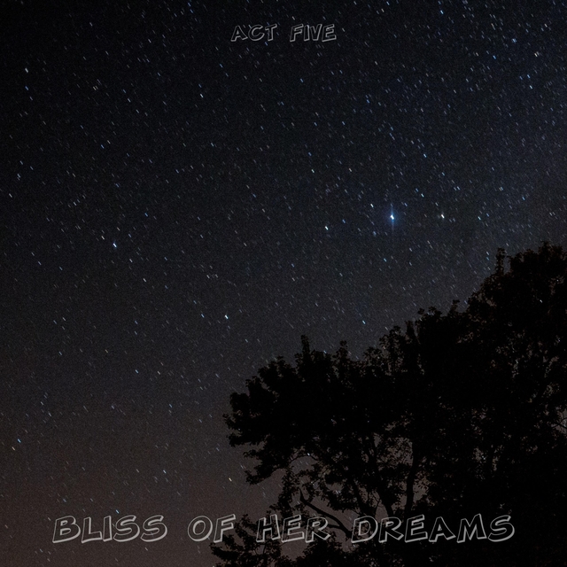 Couverture de Bliss Of Her Dreams