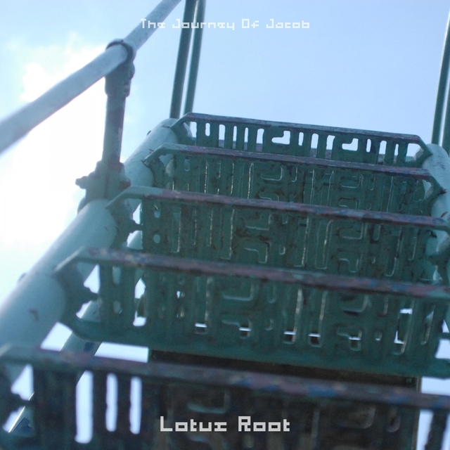 Couverture de Lotus Root