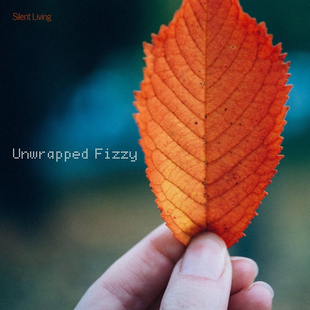 Couverture de Unwrapped Fizzy