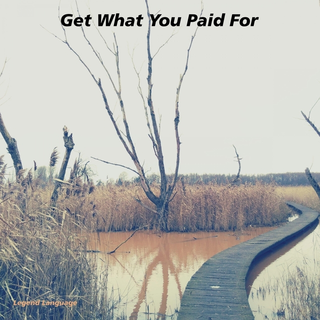 Couverture de Get What You Paid For