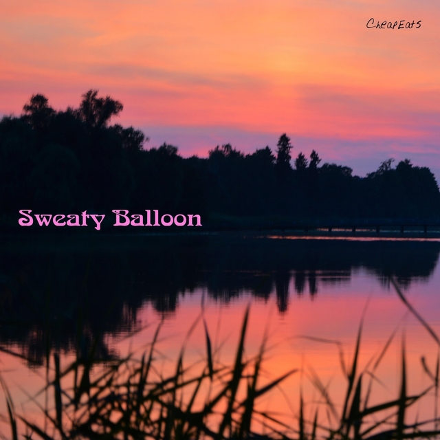 Couverture de Sweaty Balloon