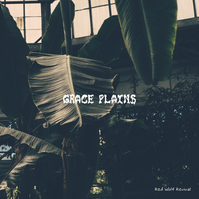 Couverture de Grace Plains