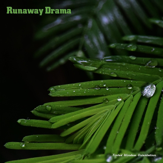 Couverture de Runaway Drama