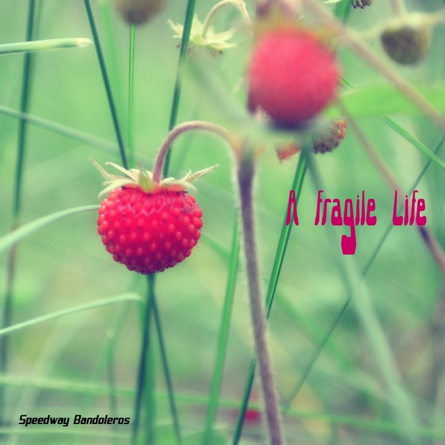 A Fragile Life