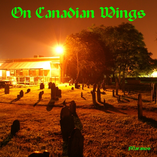 Couverture de On Canadian Wings