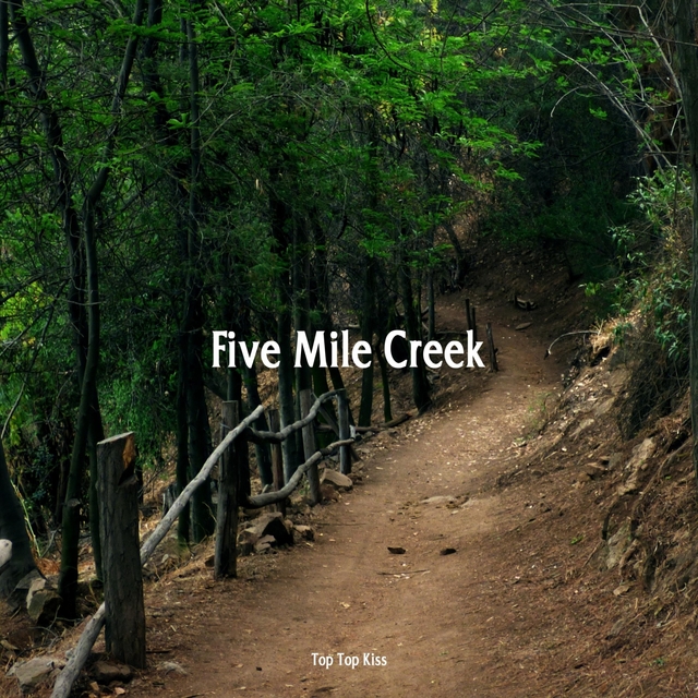 Couverture de Five Mile Creek