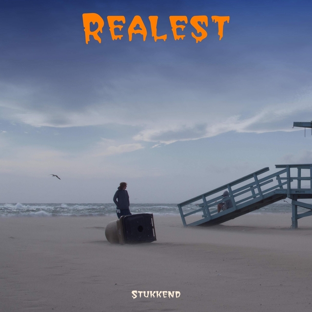 Couverture de Realest