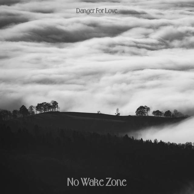 Couverture de No Wake Zone