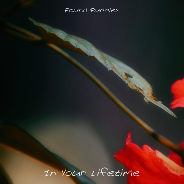 In Your Lifetime