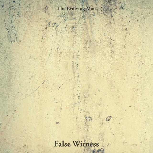 Couverture de False Witness