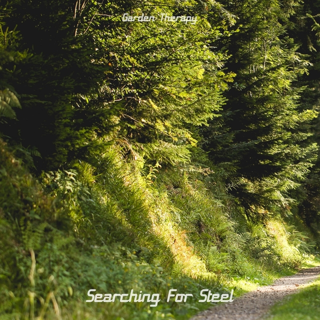 Couverture de Searching For Steel