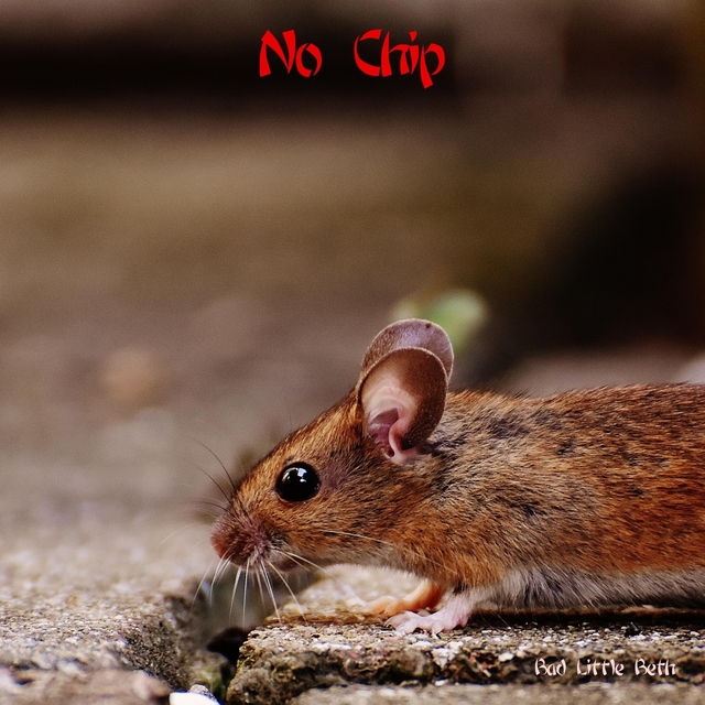 No Chip