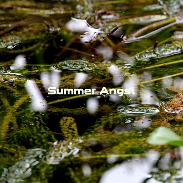 Couverture de Summer Angst