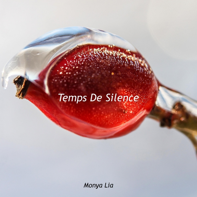 Temps De Silence