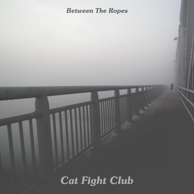 Couverture de Cat Fight Club