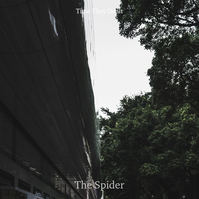 Couverture de The Spider