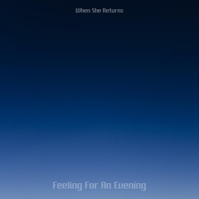 Couverture de Feeling For An Evening