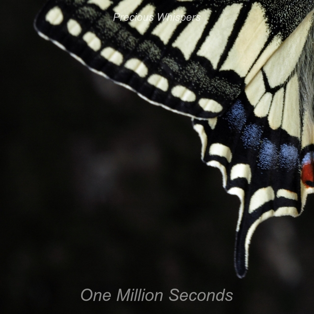 Couverture de One Million Seconds