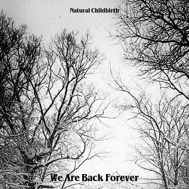 Couverture de We Are Back Forever