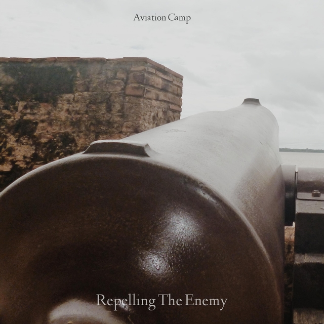 Couverture de Repelling The Enemy