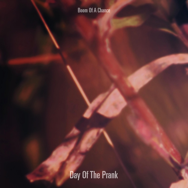 Couverture de Day Of The Prank