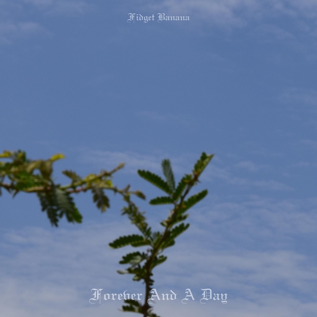 Couverture de Forever And A Day