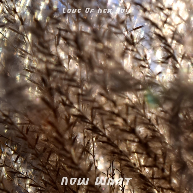 Couverture de Now What