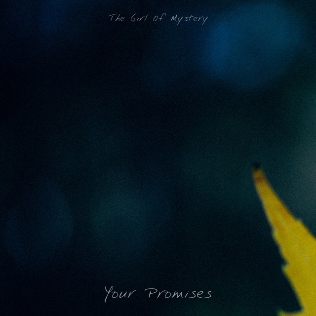 Couverture de Your Promises