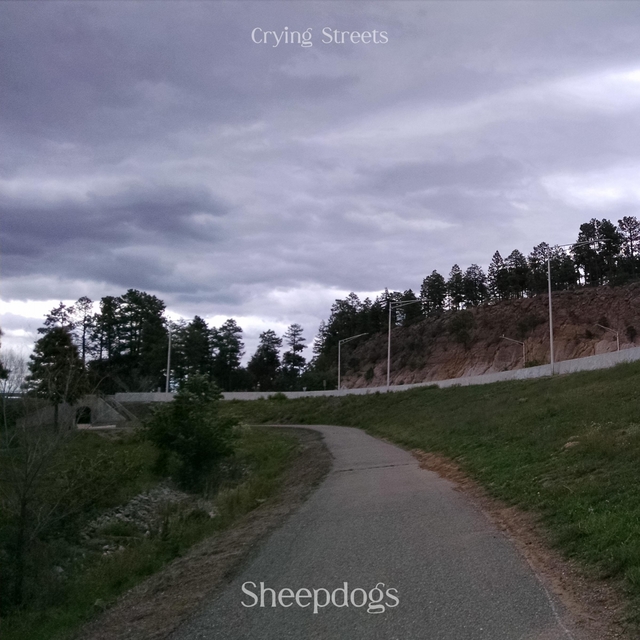 Couverture de Sheepdogs