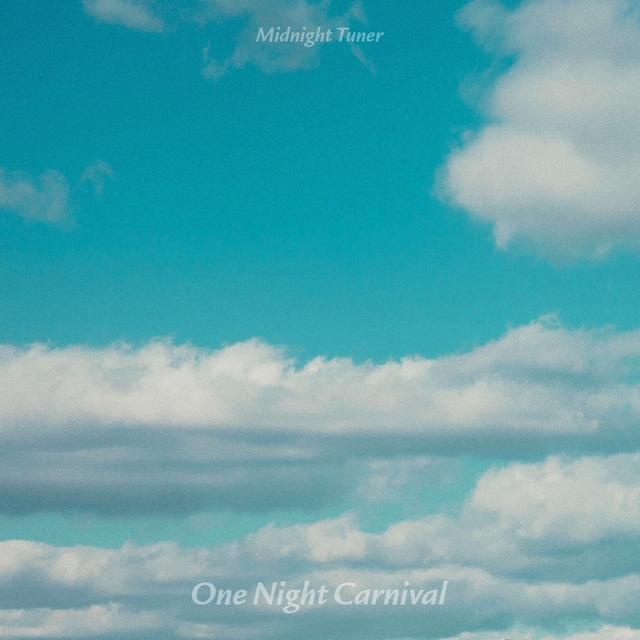 Couverture de One Night Carnival