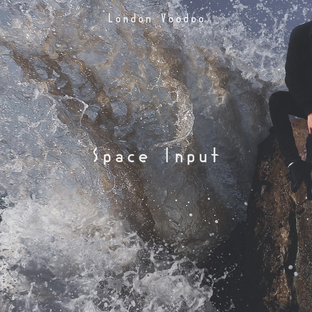 Couverture de Space Input