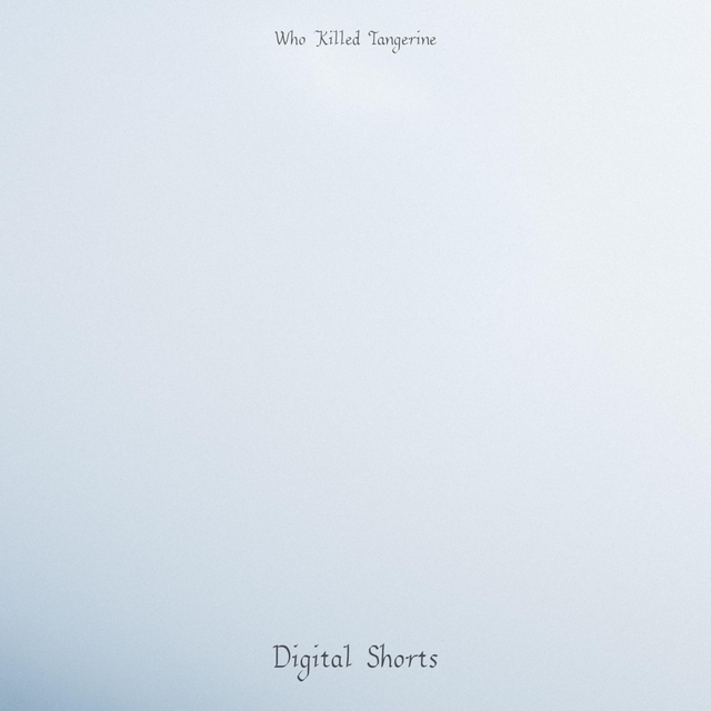 Couverture de Digital Shorts