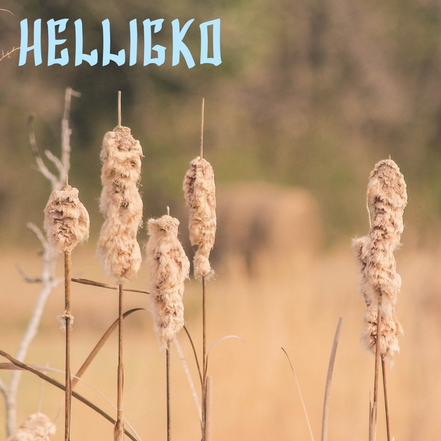 Helligko