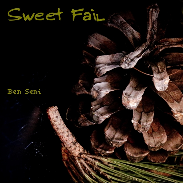 Couverture de Sweet Fail