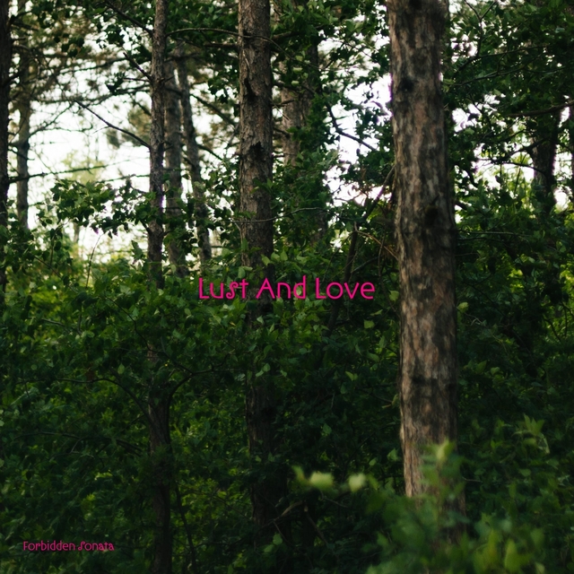 Couverture de Lust And Love