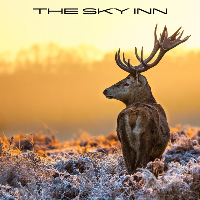 Couverture de The Sky Inn