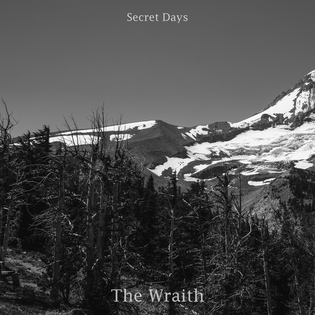 Couverture de The Wraith