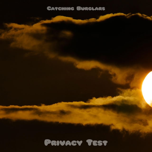 Couverture de Privacy Test