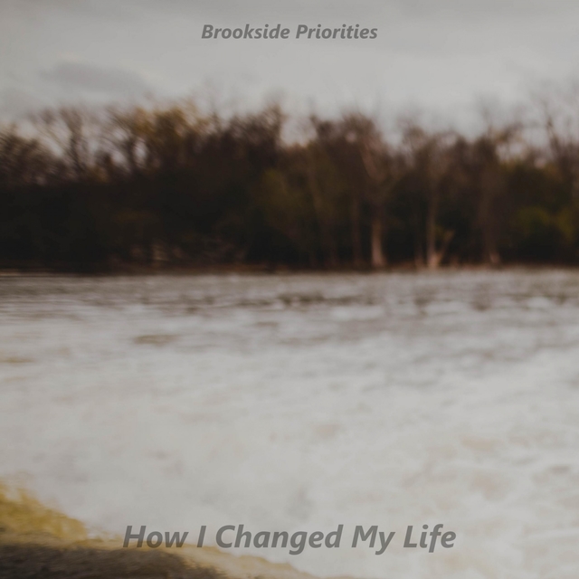 Couverture de How I Changed My Life