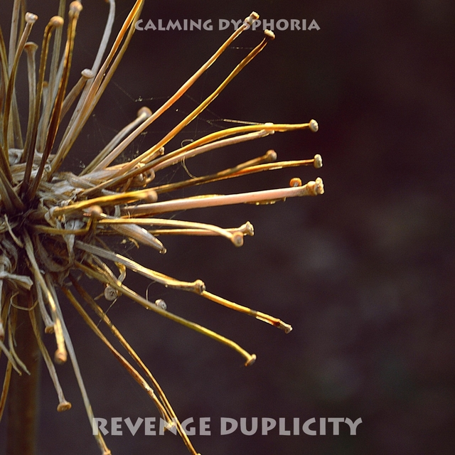 Revenge Duplicity