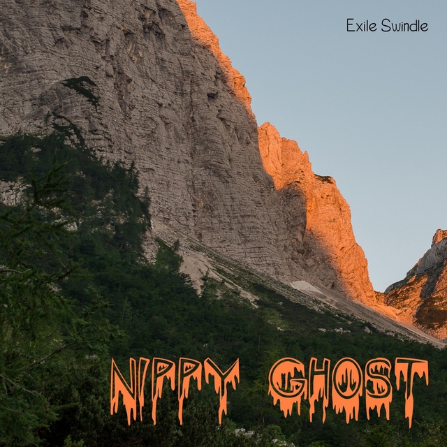 Couverture de Nippy Ghost