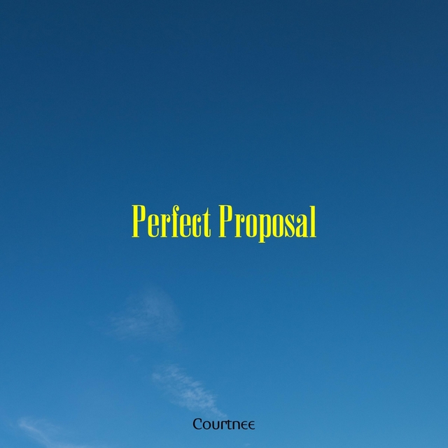 Couverture de Perfect Proposal