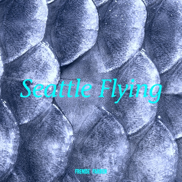 Couverture de Seattle Flying