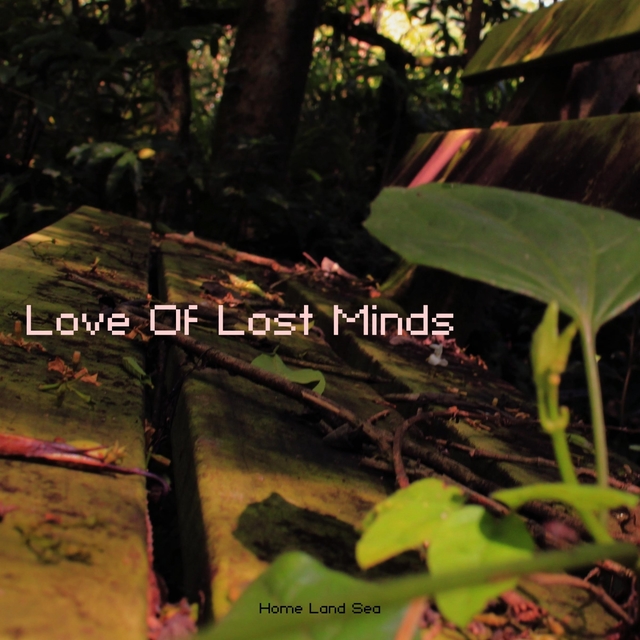 Couverture de Love Of Lost Minds